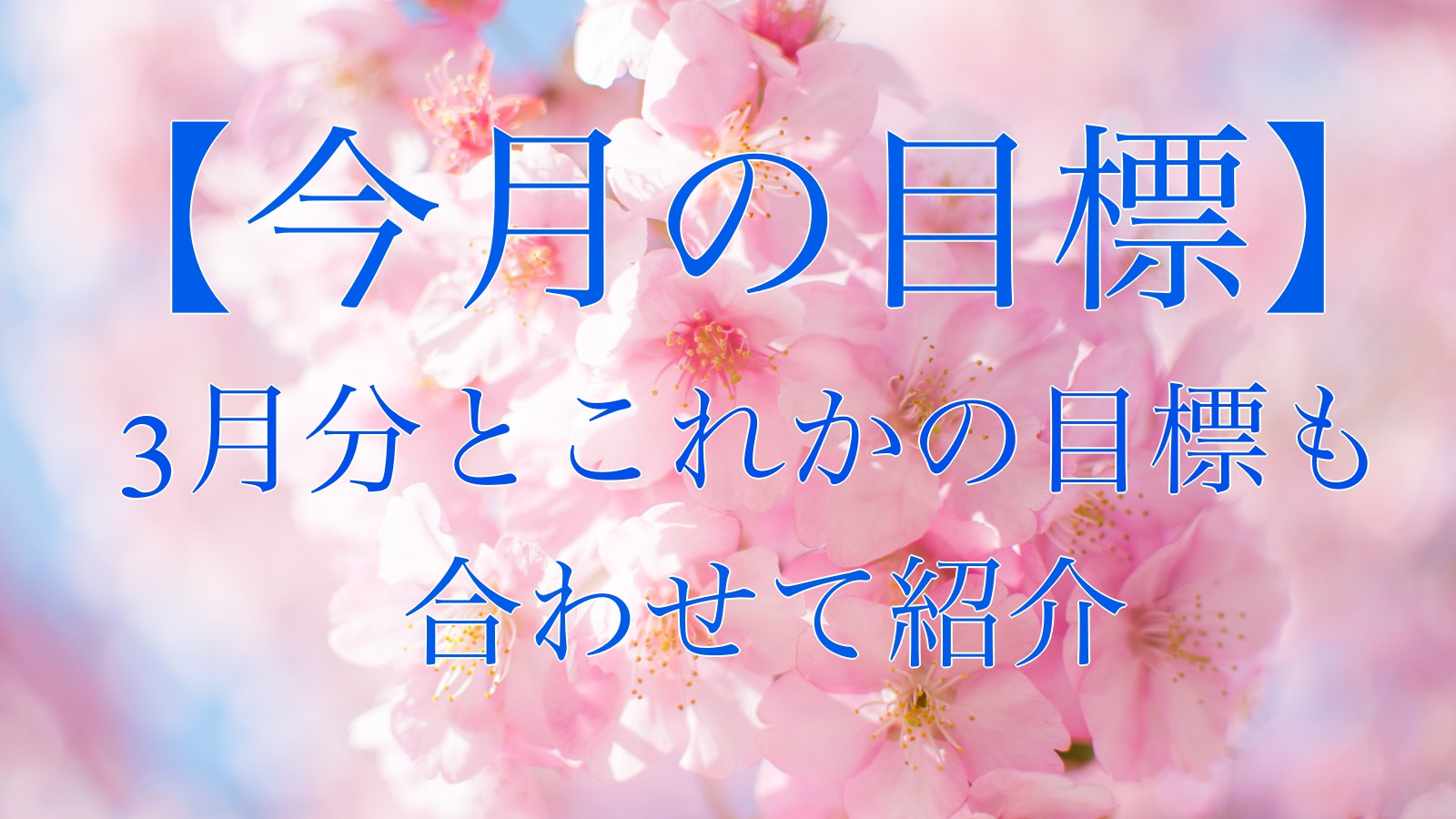 今月の目標 3月分とこれからの目標も合わせて書いていきます Kzumaブログ