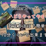 テーマXeoryでデカサムネのTwitterカード使いたい！その設定のやり方教えます！