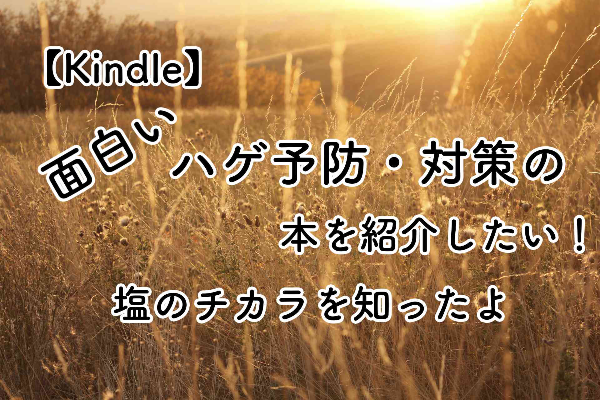 【Kindle】面白いハゲ予防・対策の本を紹介したい！　塩のチカラを知ったよ